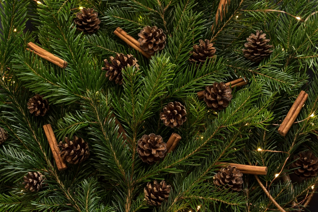 Festive decoration Christmas